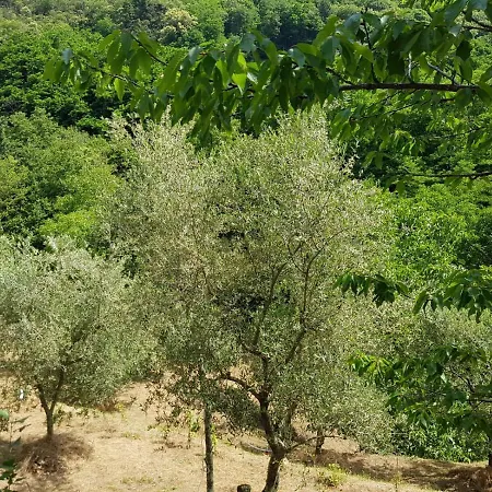 Casale Antico Poderino Ferienhaus Marliana